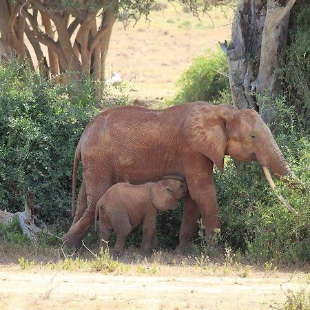 Bed and Breakfast Nyumba Ya Afrika Ватаму Экстерьер фото