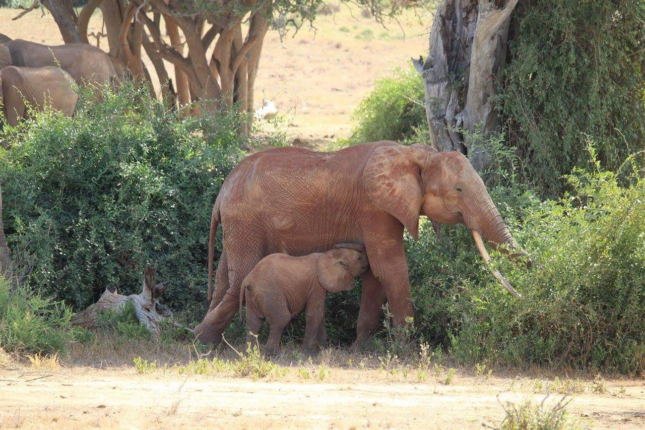 Bed and Breakfast Nyumba Ya Afrika Ватаму Экстерьер фото