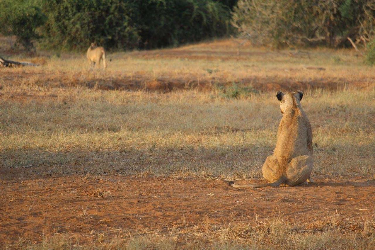 Bed and Breakfast Nyumba Ya Afrika Ватаму Экстерьер фото
